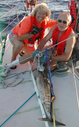 Barracuda Catch